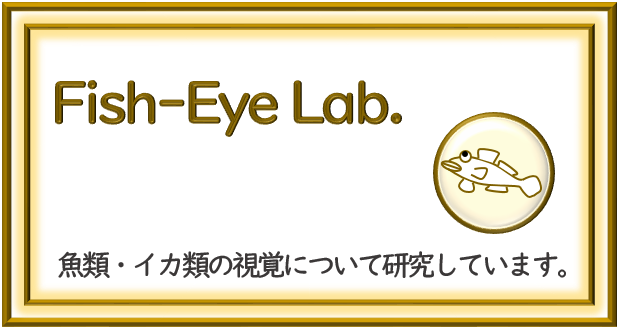 FISH-EYE Lab.